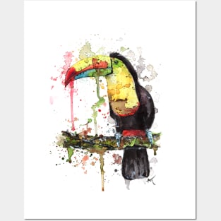 Toucan Posters and Art